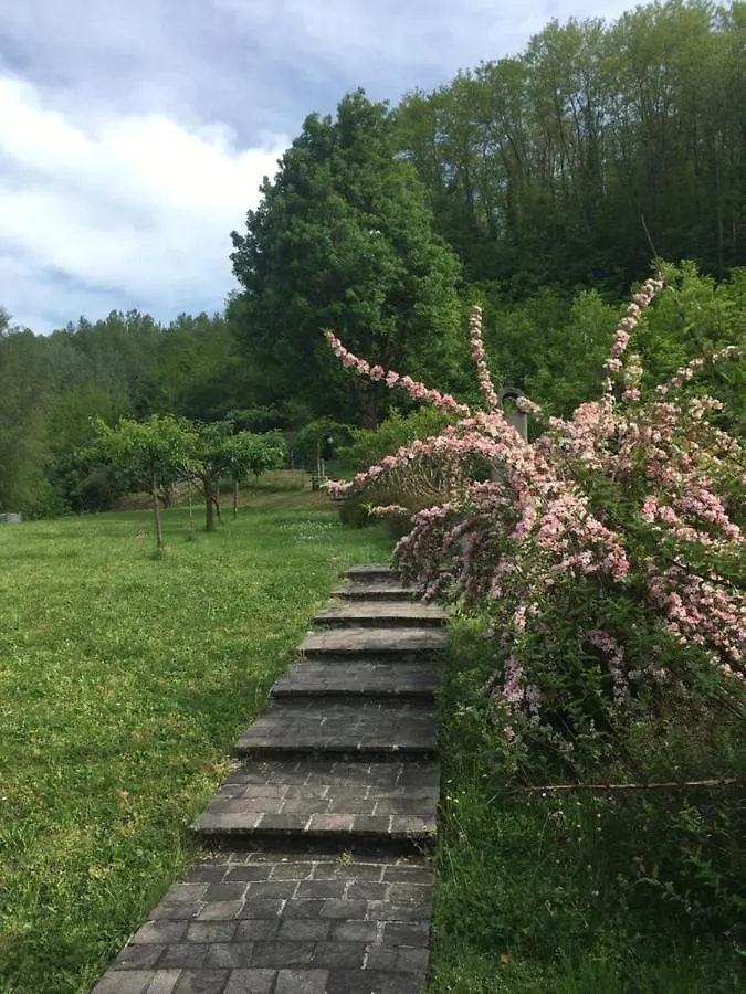 Comfortable House With Pool In Castelnuovo Di Garfagnana